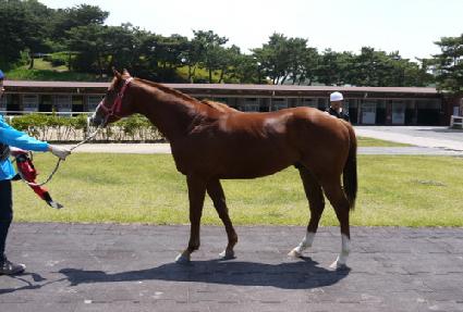 �������� ����