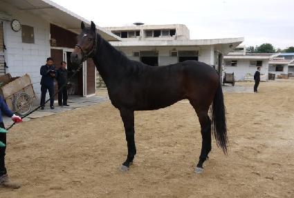 ����� ����