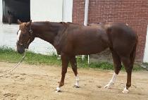 ���Ͼ��н� (UNION PASS) ����