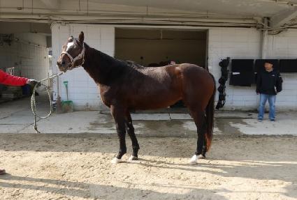 �̶�Ŭ���� ����