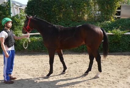 ���⽺ ����