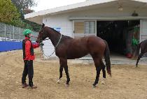 ����ǳ (SAE MIPUNG) ����