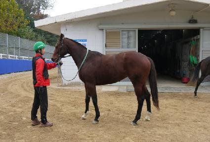 ����ǳ ����