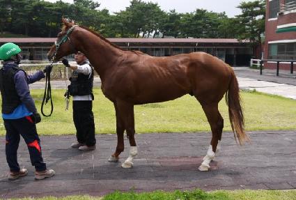 �ο���Ƽ ����