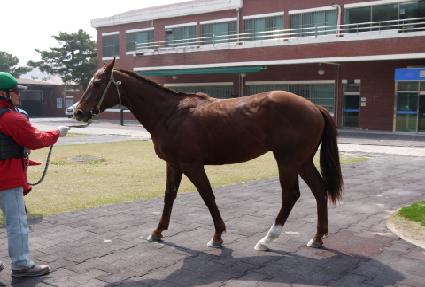 �ű԰��� ����