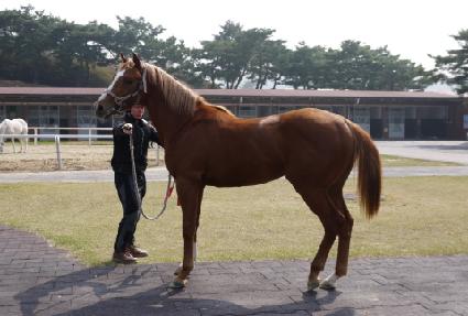 ���ѵ��� ����