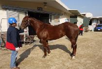 �̶�Ŭ����Ʈ (MIRACLE EIGHT) ����