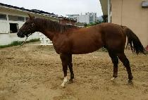 �������� (NAMDO DAEJANG) ����