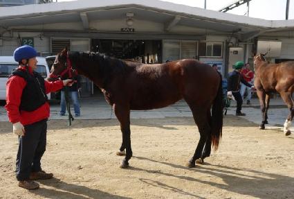 �̶�ŬȫŰ ����