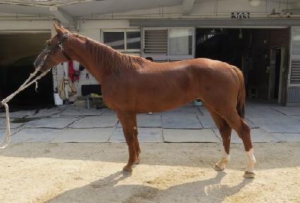 �û��θ� ����