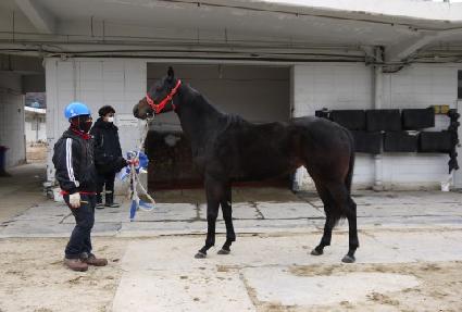 ������ź�� ����