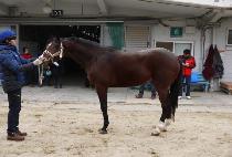 GEUMBIT TALLYEOK picture