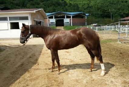 �¸����� ����