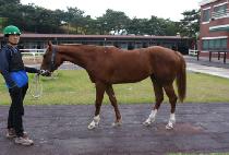 ���丮����Ʈ (VICTORY POINT) ����