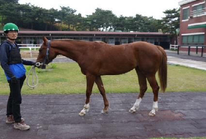 ���丮����Ʈ ����