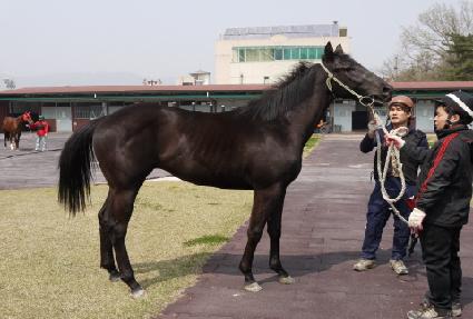 �������� ����