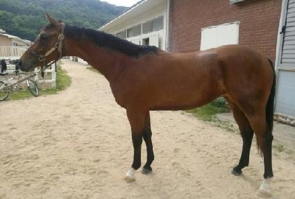 ����ö��� ����