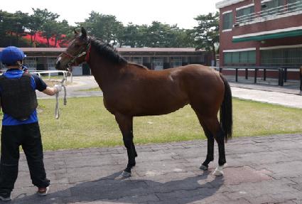 ���� ����