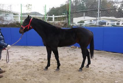 ���� ����