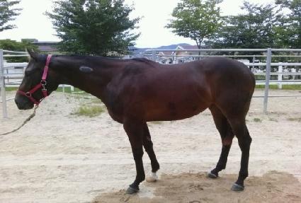 ���̽����� ����