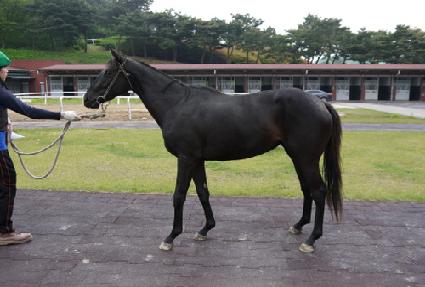 ��Ư�� ����