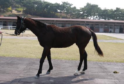 �����ο� ����