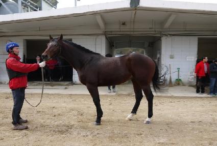 �÷���� ����