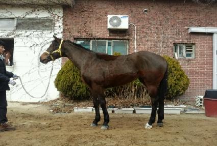 �̽����ö��� ����