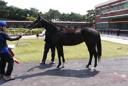 ��Ʈ��� ����