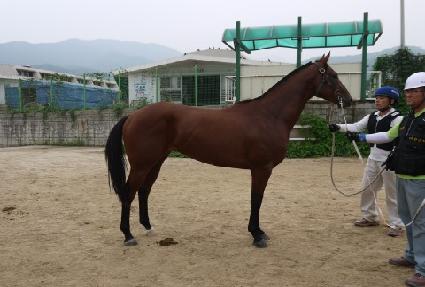 �׶����� ����