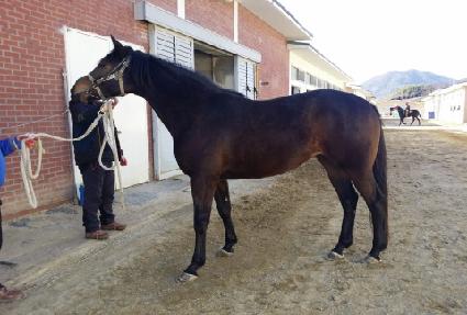 ���¹��� ����