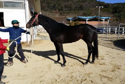 �������� ����