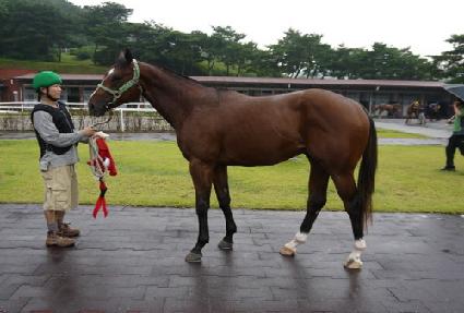 �����彺Ÿ ����