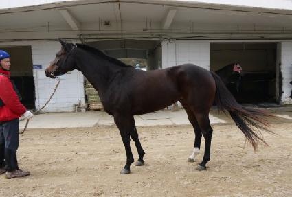 ��찰�� ����