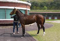 �������� (MYEONGSEONGJEGUK) ����