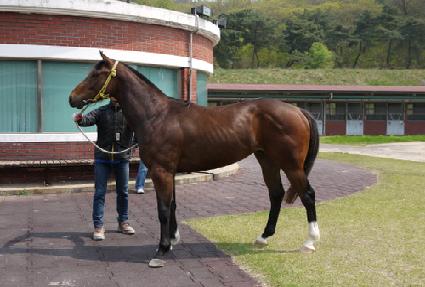 �������� ����