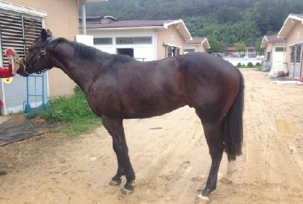 ���ʷ� ����