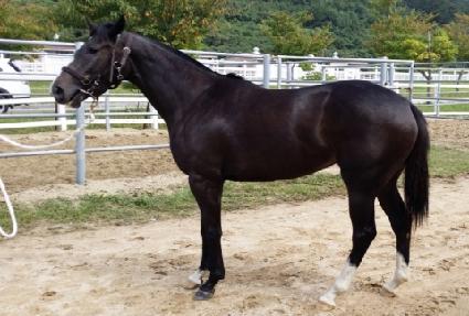 ��Ʈ����� ����