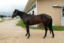 ����ǽð� (YAKSOKUI SIGAN) ����