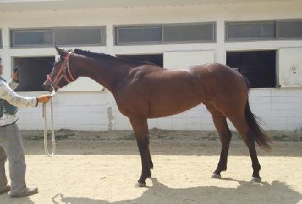 �������� ����