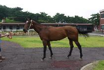 ��Ͻ���ũ (Tony Spark) ����