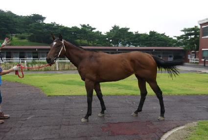 ��Ͻ���ũ ����