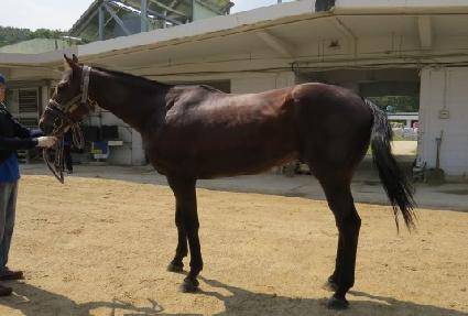 �뱺Ȳ ����