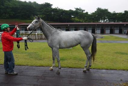 �帲���� ����