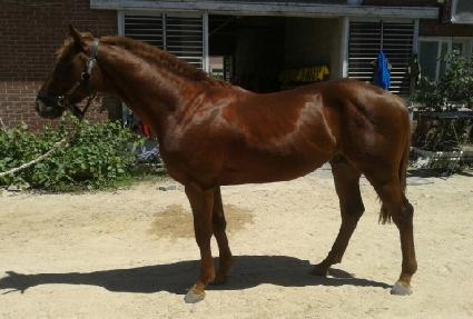 ���Ǵ��� ����