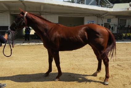 ���è�� ����