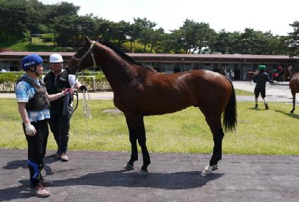 ������ĸƾ ����