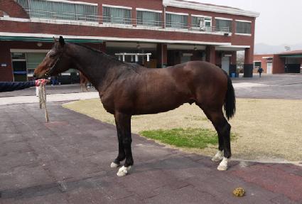 �̷���½ ����