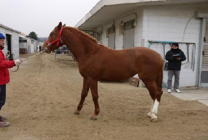 ������ ����