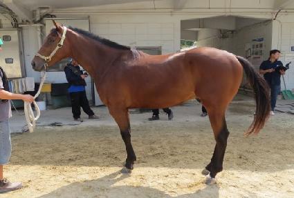 �̽��͸���ƾ ����